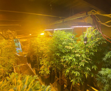 Polícia Militar desmantela laboratório de drogas em Balsa Nova