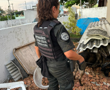 Com 39 mandados, PCPR e PMPR deflagram operação contra o tráfico no Litoral