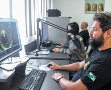 DNA das armas: Paraná já detectou 634 compatibilidades balísticas e vira referência nacional