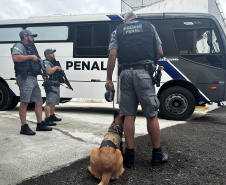 Ação das forças de segurança Verão Maior Paraná resulta em queda de homicídios no Litoral