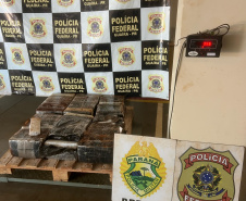 PMPR apreende 604,9 kg de entorpecentes em operação integrada na fronteira