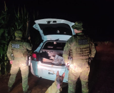 PMPR apreende 604,9 kg de entorpecentes em operação integrada na fronteira