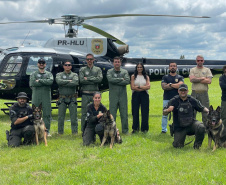 Pela 1ª vez, PCPR treina cães farejadores em aeronaves para ambientação de operações