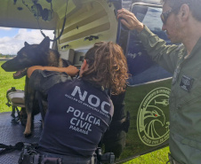 Pela 1ª vez, PCPR treina cães farejadores em aeronaves para ambientação de operações