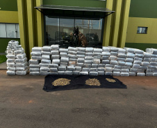PMPR apreende mais de 2 toneladas de drogas e armamentos em Assis Chateaubriand