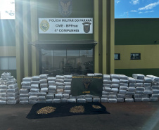 PMPR apreende mais de 2 toneladas de drogas e armamentos em Assis Chateaubriand