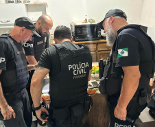 PCPR deflagra operação contra grupo que praticou arrastões e roubos na BR-376