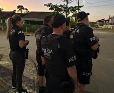 PCPR deflagra operação contra grupo que praticou arrastões e roubos na BR-376