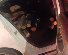 PMPR apreende um mil quilos de fios cobre furtado e prende cinco suspeitos