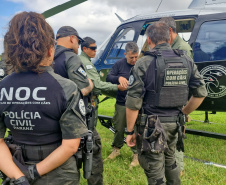 Pela 1ª vez, PCPR treina cães farejadores em aeronaves para ambientação de operações