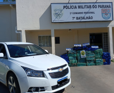 PMPR apreende 470 quilos de maconha em rodovia estadual da região Noroeste