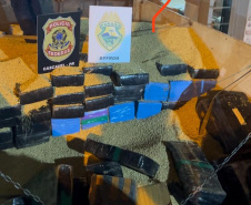 BPFRON e Polícia Federal apreendem 2,3 toneladas de maconha em Cascavel