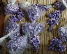 Forças do Estado apreendem 1,1 mil porções de cocaína e desarticulam delivery de drogas 