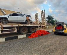  Polícia Militar do Paraná apreende quase uma tonelada de maconha e detém três pessoas em Rosário do Ivaí 