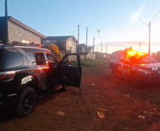 PCPR prende 12 pessoas em operação de combate ao tráfico de drogas em Guarapuava
