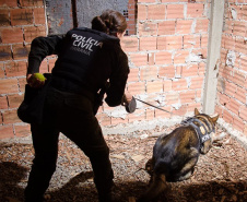 PCPR abre inscrições para o 1° Curso de Operações Policiais com Cães