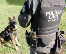 PCPR abre inscrições para o 1° Curso de Operações Policiais com Cães