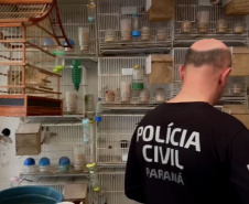 Abril Laranja: maus tratos não se limitam à agressão física, denuncie