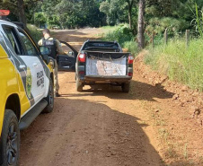 Com Patrulha Rural da PMPR, número de roubos no campo cai 34,6% em três anos no Paraná