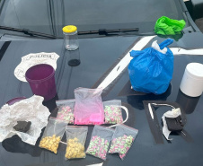 PCPR e PMPR prendem 12 pessoas em operação contra o tráfico de drogas no Sudoeste 