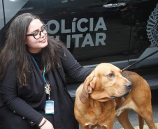 Sesp promove visita de servidores à sede da PMPR