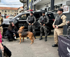 Sesp promove visita de servidores à sede da PMPR