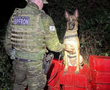 PMPR apreende quase duas toneladas de maconha em Marechal Cândido Rondon