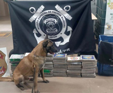 Policiais do BPRv encontram grandes quantidades de drogas em três ações distintas