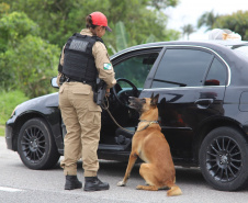 PMPR intensificará policiamento nas rodovias no feriado do Dia do Trabalhador