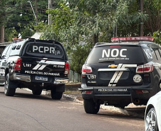 PCPR prende oito pessoas em operação contra o tráfico de drogas em Cascavel