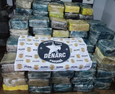 Paraná bate recorde de apreensão de drogas no 1.º trimestre: crescimento de 155%