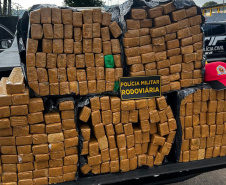 Paraná bate recorde de apreensão de drogas no 1.º trimestre: crescimento de 155%