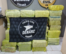 Paraná bate recorde de apreensão de drogas no 1.º trimestre: crescimento de 155%