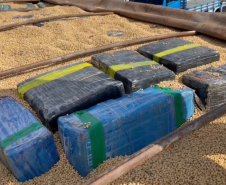PMPR apreende mais de 3,4 toneladas de drogas em Ganchinho 