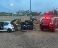 BPFron e NEPOM/PF apreendem três armas de fogo em Francisco Alves