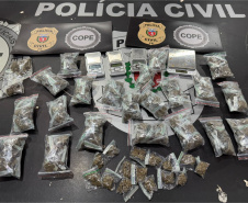 PCPR prende investigados por integrar organização criminosa com atuação no Paraná 