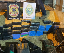 Paraná bate recorde de apreensão de drogas no 1.º trimestre: crescimento de 155%