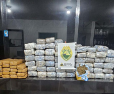 Paraná bate recorde de apreensão de drogas no 1.º trimestre: crescimento de 155%