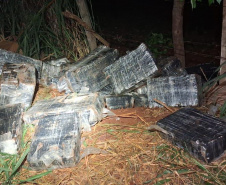 PMPR apreende mais de duzentos quilos de maconha em Foz do Iguaçu
