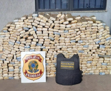  PMPR apreende mais de 700 kg de maconha em Presidente Castelo Branco 