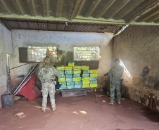 PMPR e PCPR apreendem quase uma tonelada de maconha em ação integrada com a PF