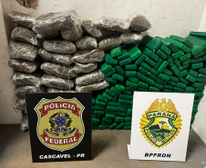 Ação entre PMPR, PCPR e PF apreende meia tonelada de maconha em Foz do Iguaçu