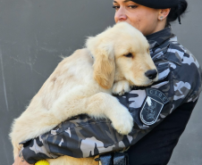 PMPR inicia projeto de terapia com cães para crianças com Transtorno do Espectro Autista