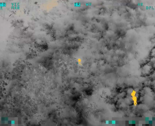 Câmeras térmicas: Falcão da PMPR detecta fugitivo que transportava 215 kg de drogas