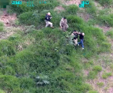 Câmeras térmicas: Falcão da PMPR detecta fugitivo que transportava 215 kg de drogas