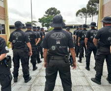 PCPR inicia primeira edição do curso de operações policiais com cães