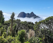 Início da "temporada de montanhas" exige planejamento e cuidados - Na foto, Pico Paraná