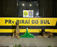 PMPR divulga resultados da Operação Caminhos Seguros 