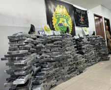 PMPR apreende mais de meia tonelada de cocaína em Curitiba