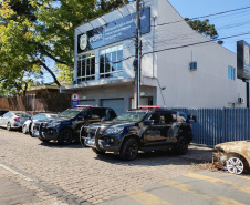 PCPR apreende diversas substâncias e armamentos em Campo Largo 